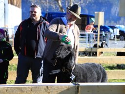 2019_ausstellung polling_022